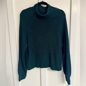 American Eagle Outfitters Dark Green Turtleneck Sweater